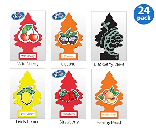 best car fresheners reviews - Little Trees Assorted Air Freshener Fruit