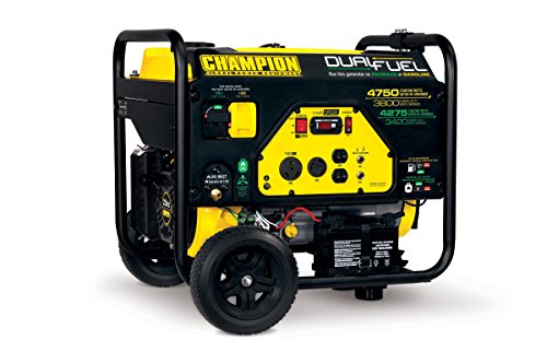 best rv generators Reviewed - Champion Power Equipment 76533 3800 Watt Dual Fuel Portable Generator with Electric Start