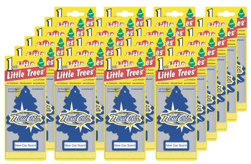 best car freshener reviews - Little Trees Car Freshener - Best New Car Scent